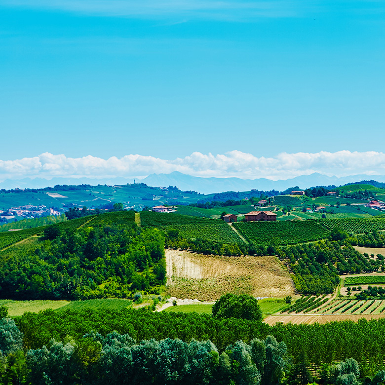 Campagna piemontese