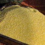 Polenta