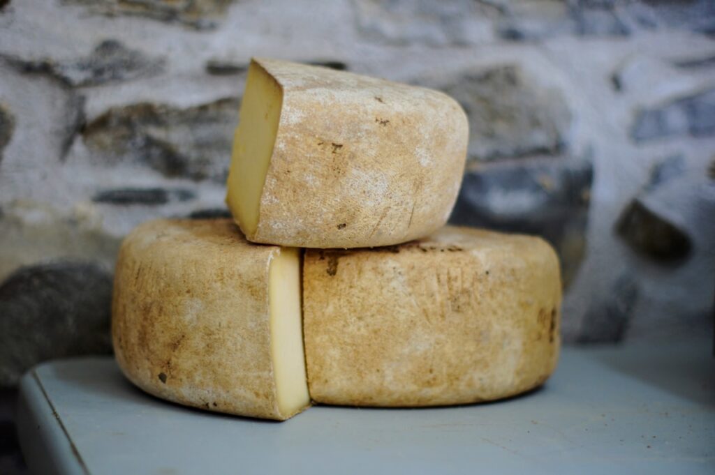 Assortimento di formaggi di capra su tagliere — guida alle tipologie L'Isola Felice
